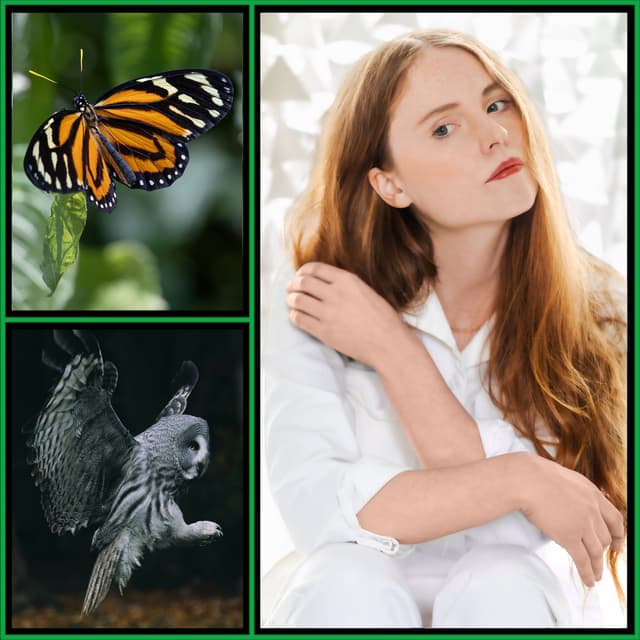 Sophie Strand: Ecological Storytelling and Mythic Imagination