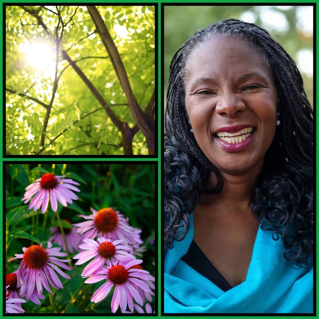 The Ecowomanist Theology of Rev. Dr. Melanie L. Harris