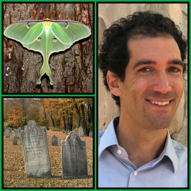 Writing an Enchanted Landscape with Daniel Mason