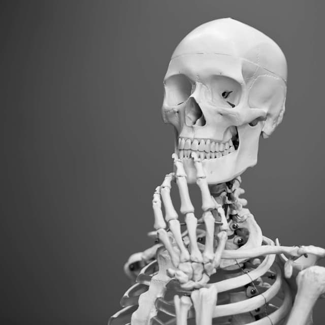 The Skeleton Modifier 3D: Its Design, Plus More