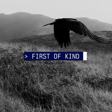 First of Kind