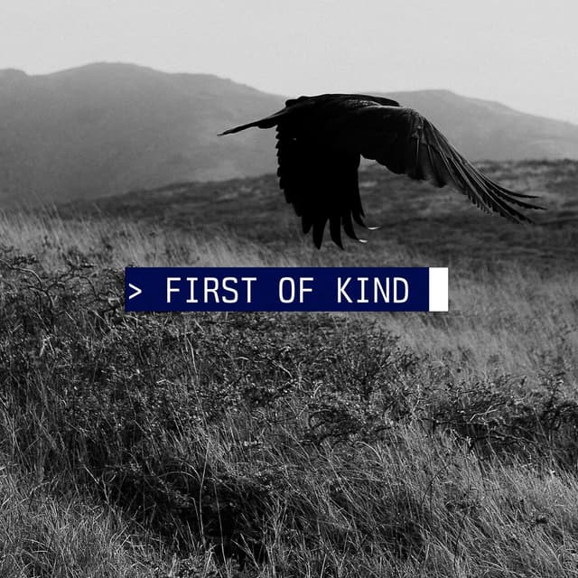 First of Kind