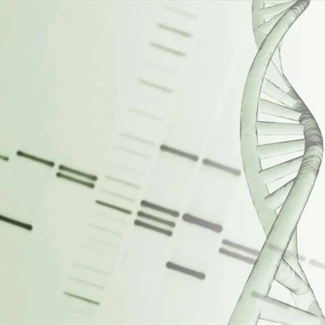 Berkeley AI Redefines Genomic Prediction, AI Reveals Cancer Arf1 Off Switch, DNA Code Redefines Genome, Genetics Tie Height Diabetes Not Education, and more...