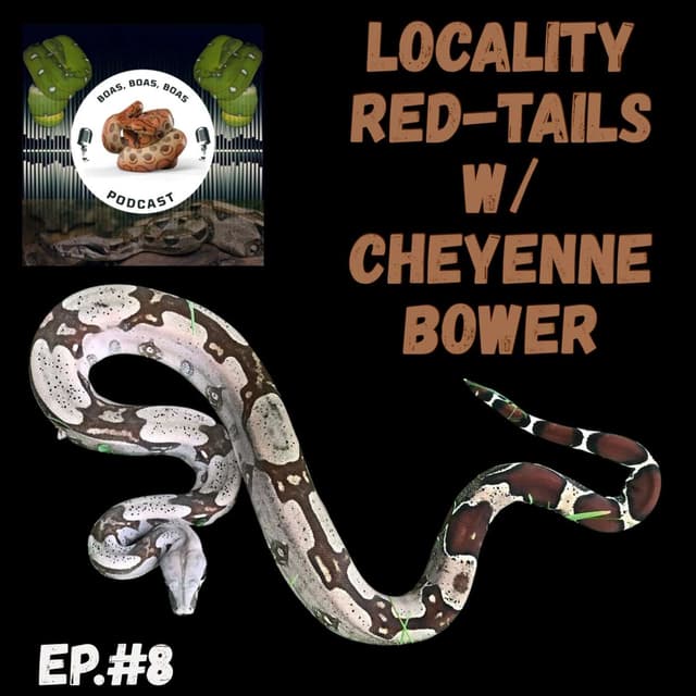 Locality Red-tails w/ Cheyenne Bower