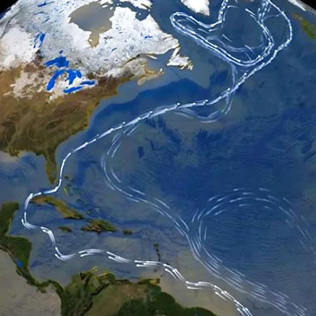 Gravitational Torque Drives Day Variations, NIH Study Pins ALS FTD Biomarkers, Atlantic Current Weakens, Climate Risks Rise, Climate Shifts Trigger Extinctions, and more...