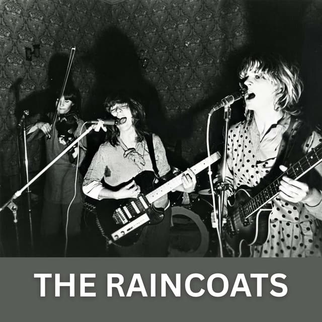 The Raincoats - Storming the Social Conscience