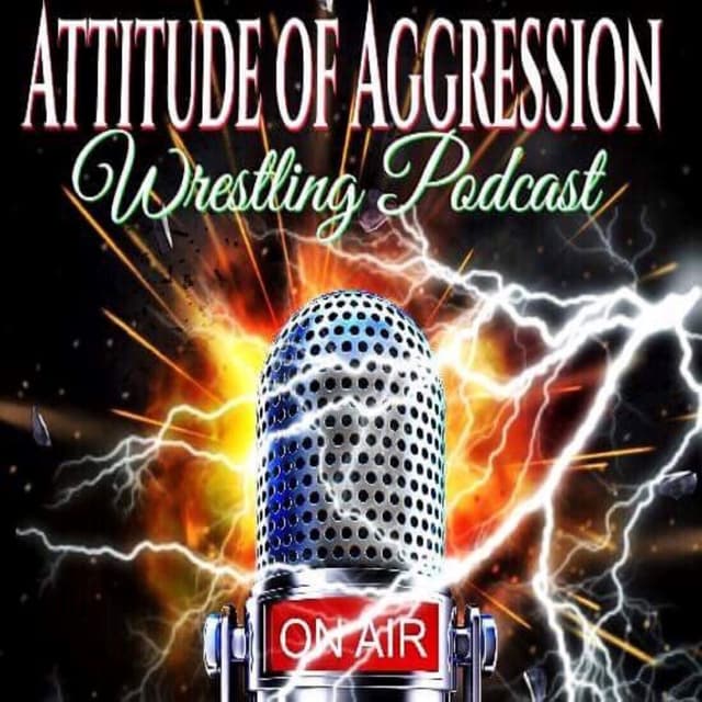 Attitude Of Aggression #343- The Big Five Project: Summer Slam '96