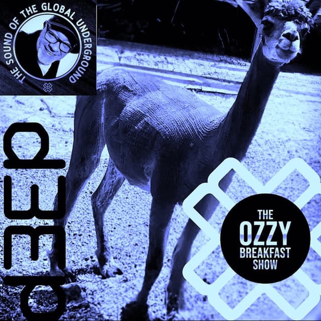 Dave Bowen - The Ozzy Breakfast Show (23/10/26)