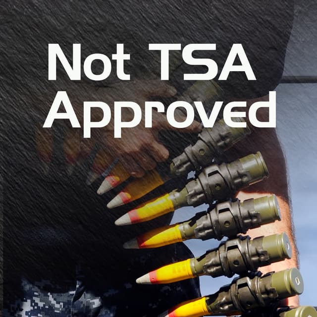 25mm through the Airport? Newsom Gun Woes and Ramin Blaming the gun.