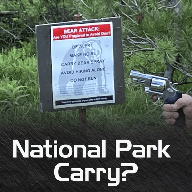Pulling Into the Post Office with a Glock: Federal Felon or Lawful Carrier?