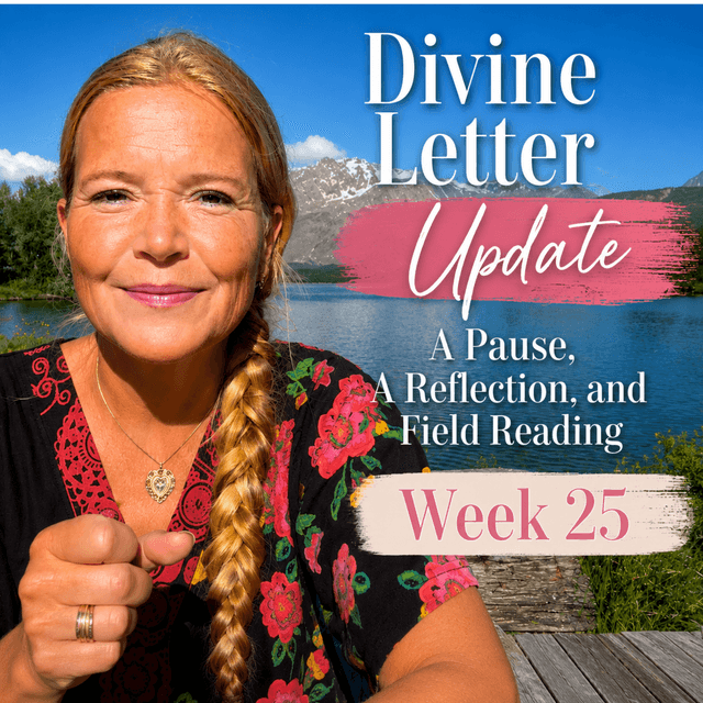 Divine Letter Update — A Pause, A Reflection, and Field Reading Week 25