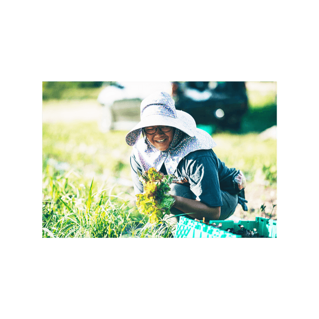 Ear to the Ground 369: Emerging Agrarians