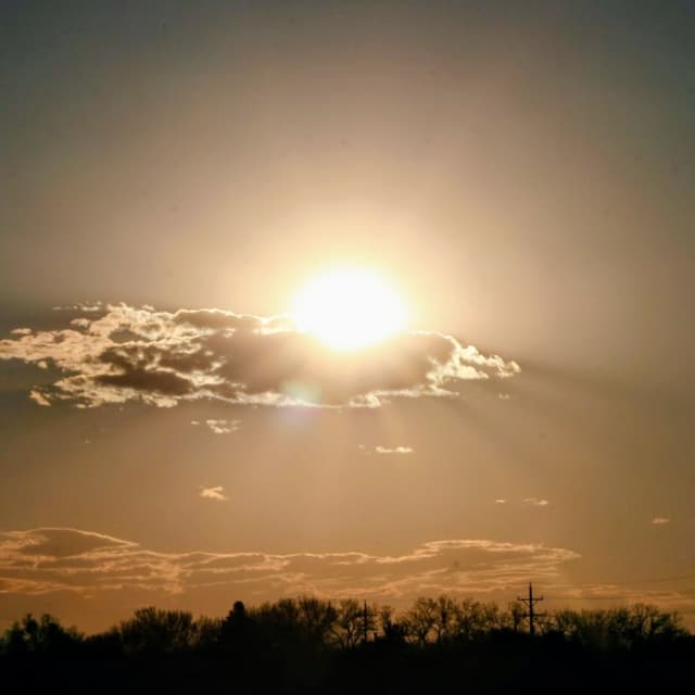 IN-BETWEEN DAYS