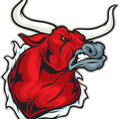 The Bullvine Daily Brief