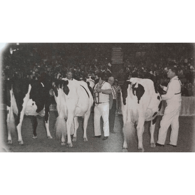 E640 One Ring, Three Dynasties: The 1989 World Dairy Expo Class That Rewrote Holstein History