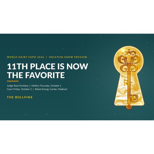 E657 World Dairy Expo 2026 Holstein Show Preview: 11th Place Is Now The Favorite