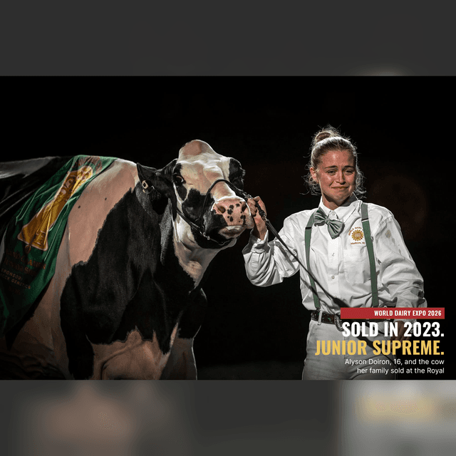 E666 The Cow She Wouldn’t Let Go: Alyson Doiron and Ella Win Junior Supreme at World Dairy Expo