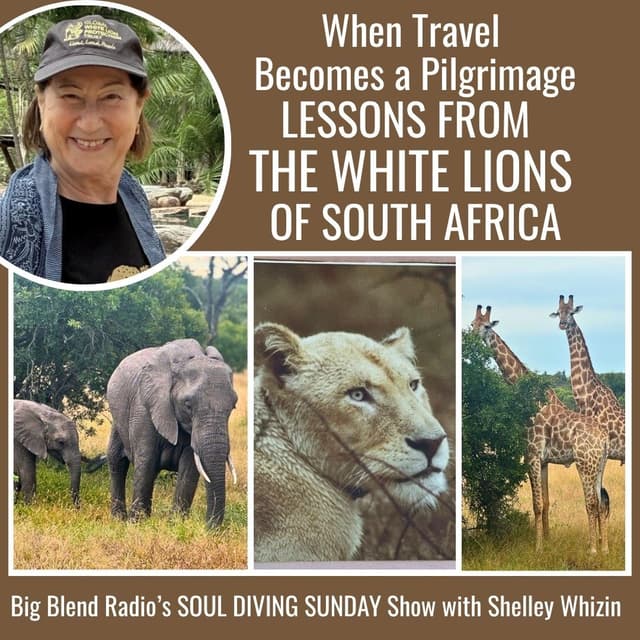 When Travel Becomes a Pilgrimage: Lessons from the White Lions of South Africa