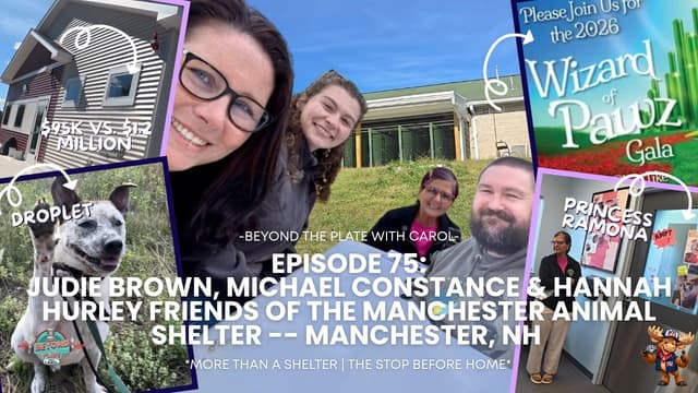 $95k From the City, $1.2 Million to Run: Why Manchester’s Animal Shelter Needs a Gala | Ep. 75
