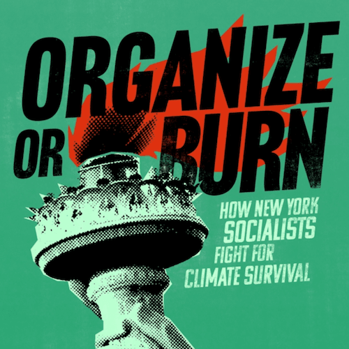 The State of American Socialism in 2026 - 384 PREVIEW