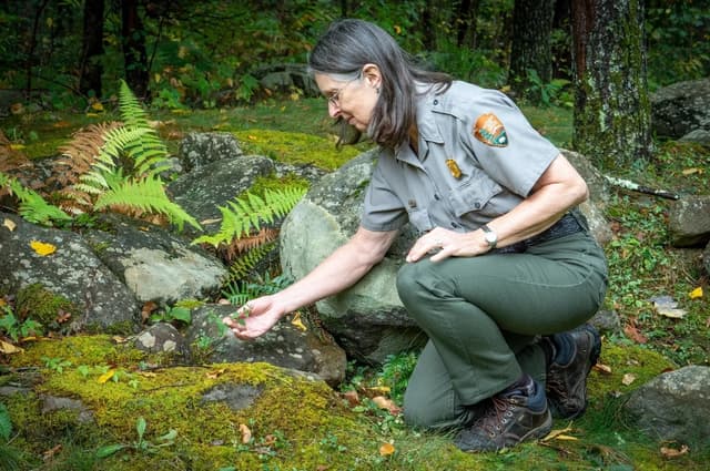 Save the National Parks' Staff from Firings! Retired Forester Kristine Johnson Talks about Effects on Great Smoky Mountains National Park