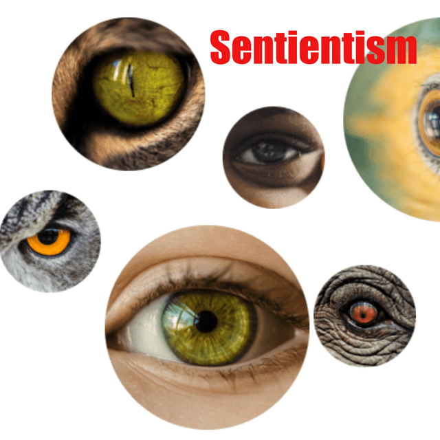 How Can a Sentientist Philosophy Improve the World? Guest Jamie Woodhouse Combines Reason with Compassion for All Sentient Beings
