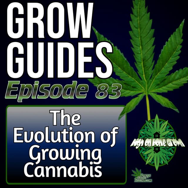 The Evolution of Cannabis Growing – From HID Rooms to Living Soil & The Future of Cultivation | Grow Guides Ep. 83