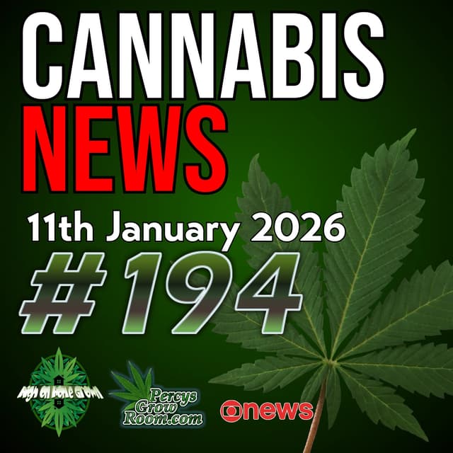 Massive UK Farm Bust, 2 Tonnes Seized! | Trump Orders Research Expansion | 12 Year Old Brings 100mg Edibles to School! School Texas Crackdown Plans | Cannabis News 194