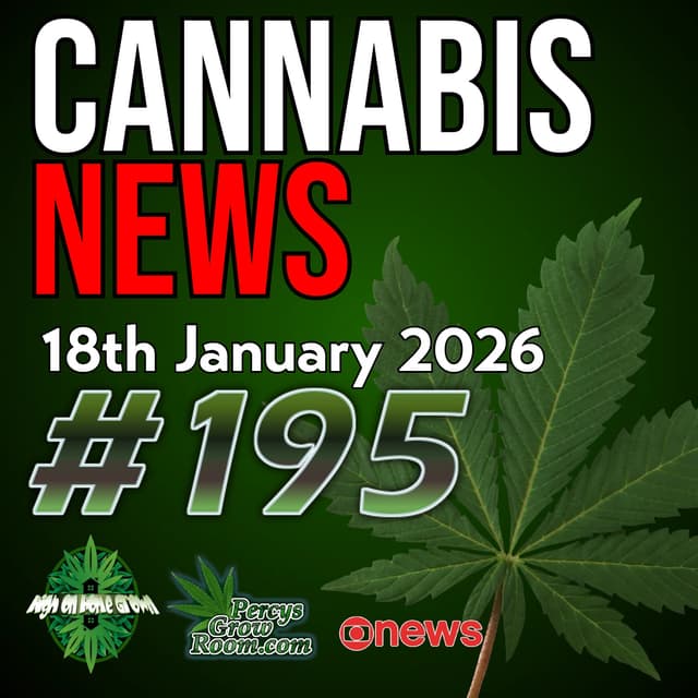 UK Police Finally Have Guidance for Patience (after 7 years) | Irradiating Cannabis Doesn't Work | Hemp Ban Delays | Scientist Tell Us How much Cannabis is Safe | Cannabis News 195