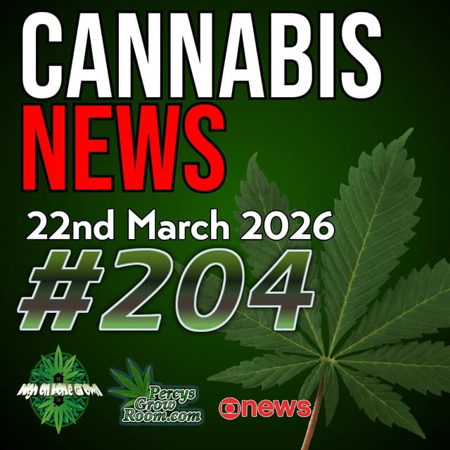 More Propaganda, A Study Claims Cannabis Doesn't Help with Mental Health Issues, we Disagree! Guernsey Medical Crackdown, Rescheduling Uncertainty in the USA | Cannabis News 204