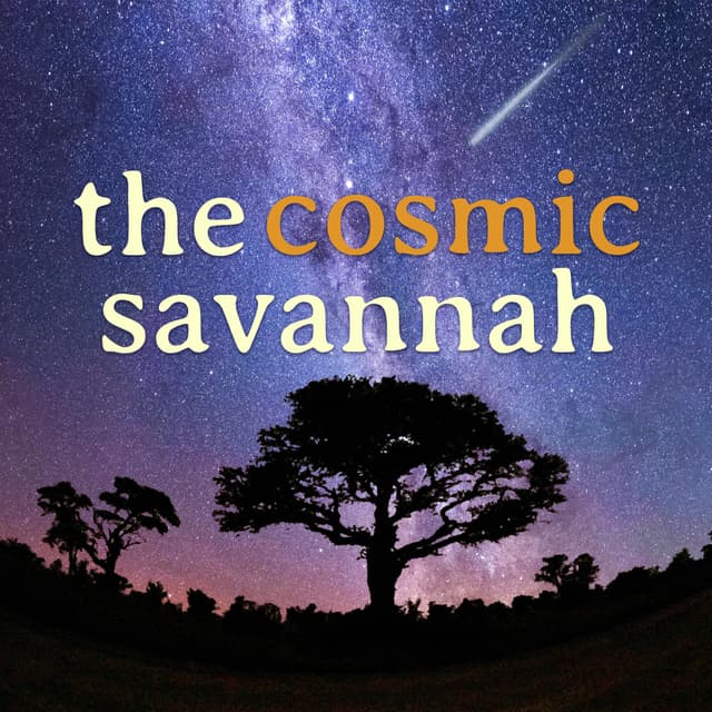 The Cosmic Savannah - Ep. 81: One Last Burst: Gamma Rays & Afterglows