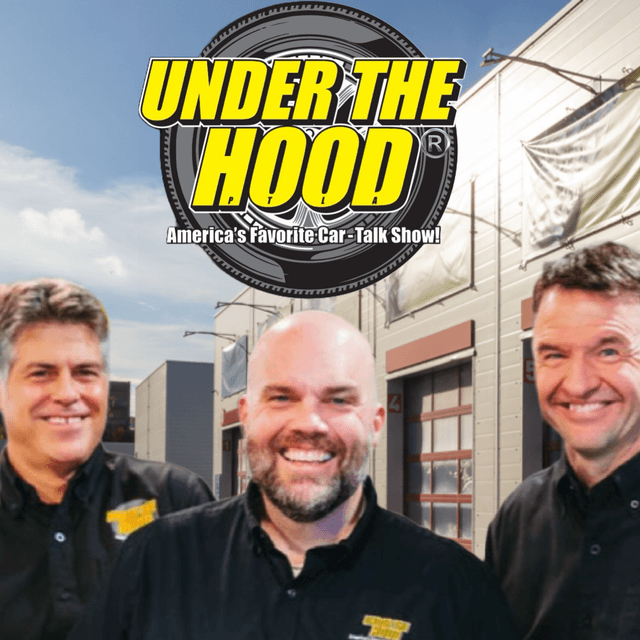 Can You Fix Your Car Yourself With Help From These Guys - Maybe