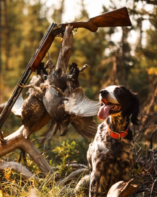 Mountain Grouse Master Class