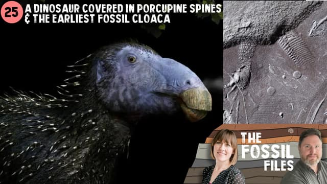 25. A dinosaur covered in porcupine spines & the earliest fossil cloaca