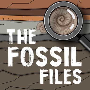 The Fossil Files