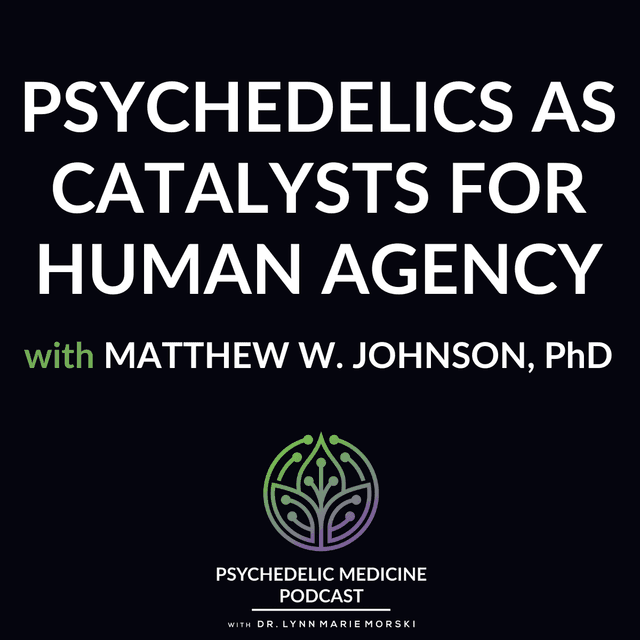 Psychedelics as Catalysts for Human Agency with Matthew W. Johnson, PhD