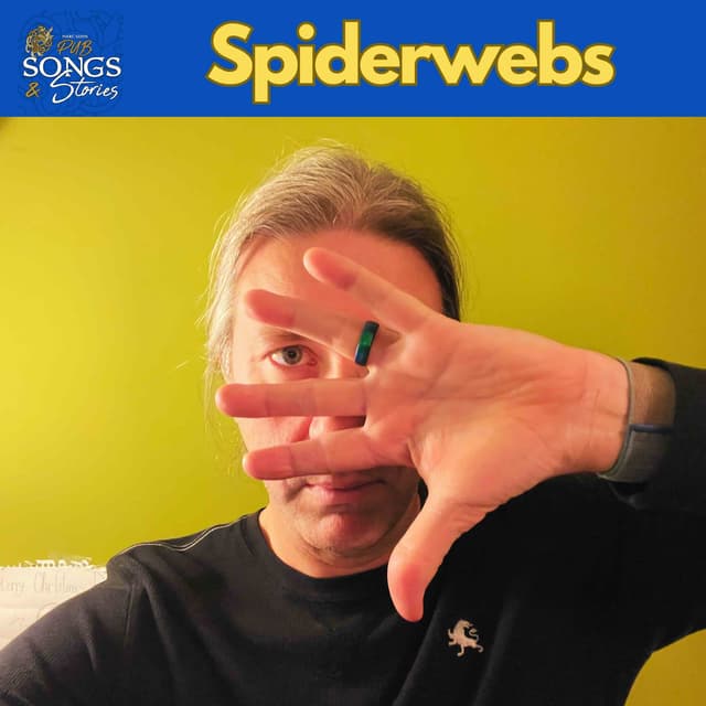 Spiderwebs #279