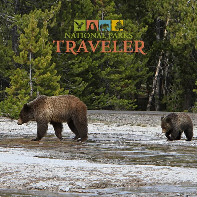 National Parks Traveler Podcast | The Future of Grizzly Bears